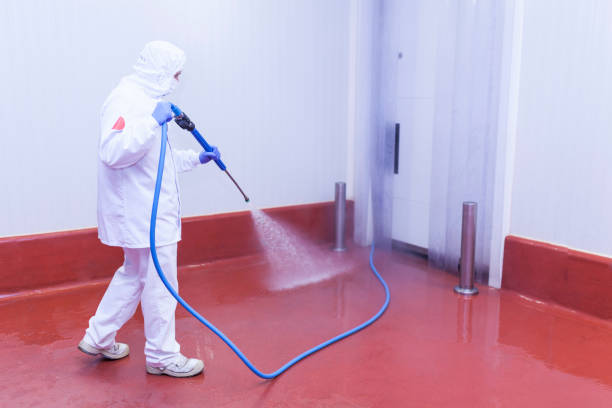 Best Rust and Stain Removal in Ironton, MO